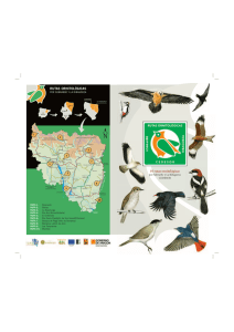10 rutas ornitológicas