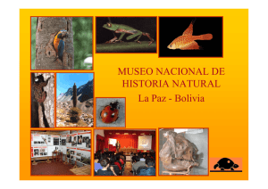 MUSEO NACIONAL DE HISTORIA NATURAL La Paz