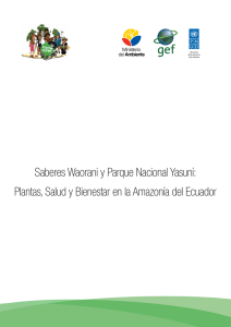 Saberes Waorani y Parque Nacional Yasuní: Plantas, Salud