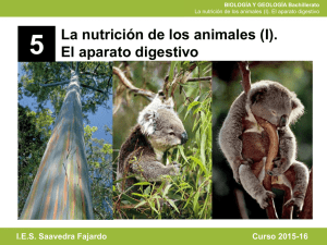 Diapositiva 1 - Aula Virtual oposicionesbiologia.com