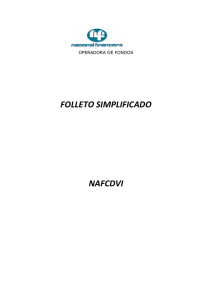 folleto simplificado nafcdvi - Vector
