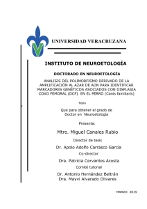 universidad veracruzana instituto de neuroetología