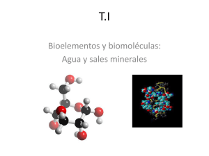 Bioelementos y biomoléculas: Agua y sales minerales