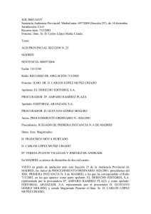 JUR 2005\34337 Sentencia Audiencia Provincial Madrid núm. 697