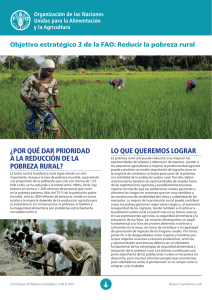 Objetivo estratégico 3 de la FAO: reducir la pobreza rural