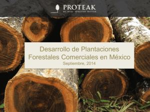 Desarrollo de Plantaciones Forestales Comerciales en