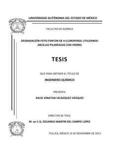 tesis - Universidad Autónoma del Estado de México