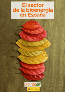 El sector de la bioenergía en España