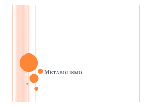 Metabolismo y Enzimas - Colegio Aurora de Chile SUR