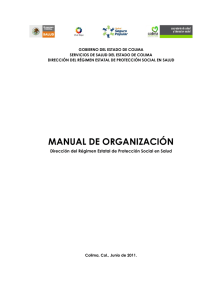 Manual de Organización Dirección del Régimen Estatal de