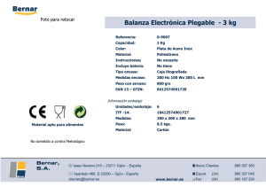 Balanza Electrónica Plegable - 3 kg