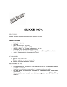 silicon 100%