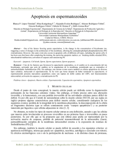 Apoptosis en espermatozoides - Revista Iberoamericana de Ciencias