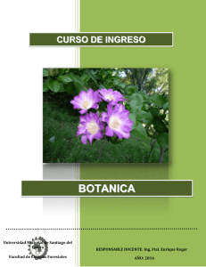 botanica - Facultad de Ciencias Forestales UNSE