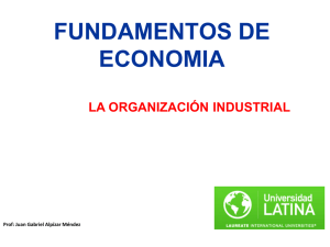 7. Organización Industrial