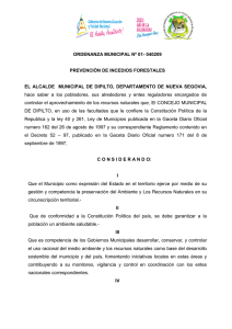 Ordenanza Municipal de Dipilto, Departamento de Nueva