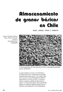 Almacenamiento de g1ano1 bá1ico1 en Chile