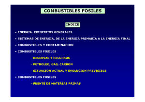 COMBUSTIBLES FOSILES