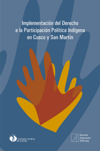 Implementación del Derecho a la Participación Política Indígena en