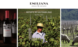 Reporte de Sustentabilidad 2012
