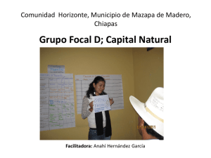 Diapositiva 1 - Cuenca Grijalva
