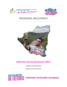 Informe Sectorial Anual 2011