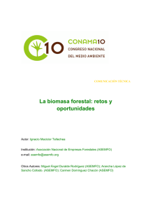 La biomasa forestal: retos y oportunidades