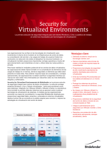 Virtualized Environments