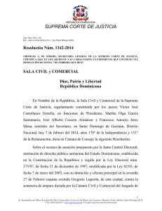 Resolución caso Ana María Belique JCE
