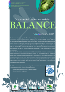 Francia DMH 2015 Balance