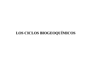 + N - Estudios Ecologistas