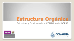 Estructura Orgánica Central