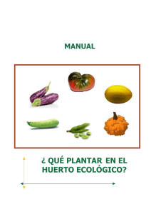 Manual-Que-plantar-en-el-Huerto-ecológico