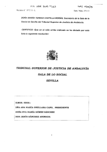 Sentencia del Tribunal Superior de Justicia de Andalucía, con sede