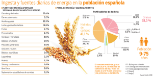 Ingesta y fuentes diarias de energía en la población española