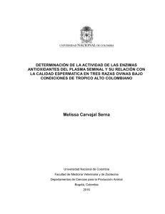 Melissa Carvajal Serna - Universidad Nacional de Colombia