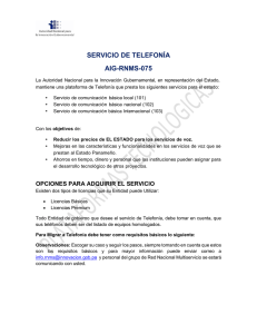 SERVICIO DE TELEFONÍA AIG-RNMS-075