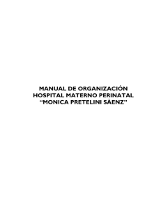 manual de organizacion del hospital materno perinatal monica