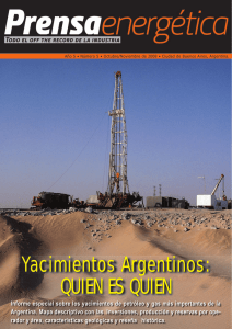 Yacimientos Argentinos: QUIEN ES QUIEN