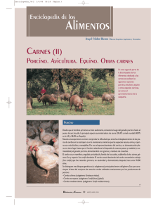 Carnes (2): porcino, avicultura y otras carnes