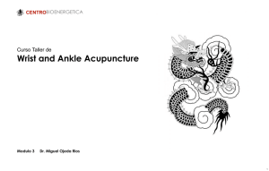 Wrist and Ankle Acupuncture Modulo 3 Dr. Miguel Ojeda Rios