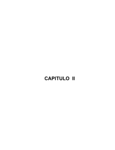 658.02-G939p-CAPITULO II