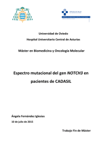 TFM_Espectro mutacional del gen NOTCH3 en pacientes de