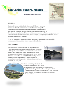 Información del visitante a San Carlos, Sonora