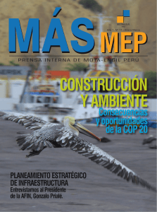Revista Más MEP N°11 - Mota