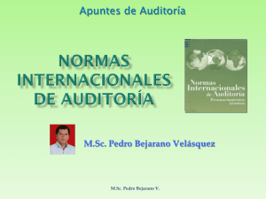 Normas Internacionales de auditorìa