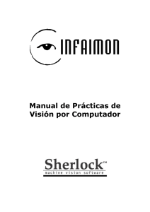 Manual de Prácticas de Sherlock. - Grupo Temático de Visión por