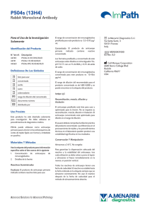 P504s (13H4) - Menarini Diagnostics