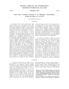 Homopt.: Ortheziidae - revista peruana de entomologia