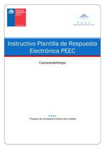 Instructivo Plantilla de Respuesta Electrónica PEEC
